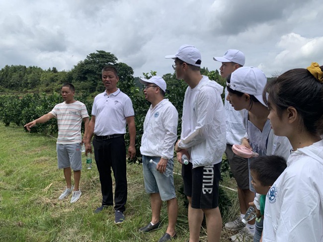 实践队在村主任伍玉炎带领下参观赣南脐橙种植园。福建船政交通职业学院供图