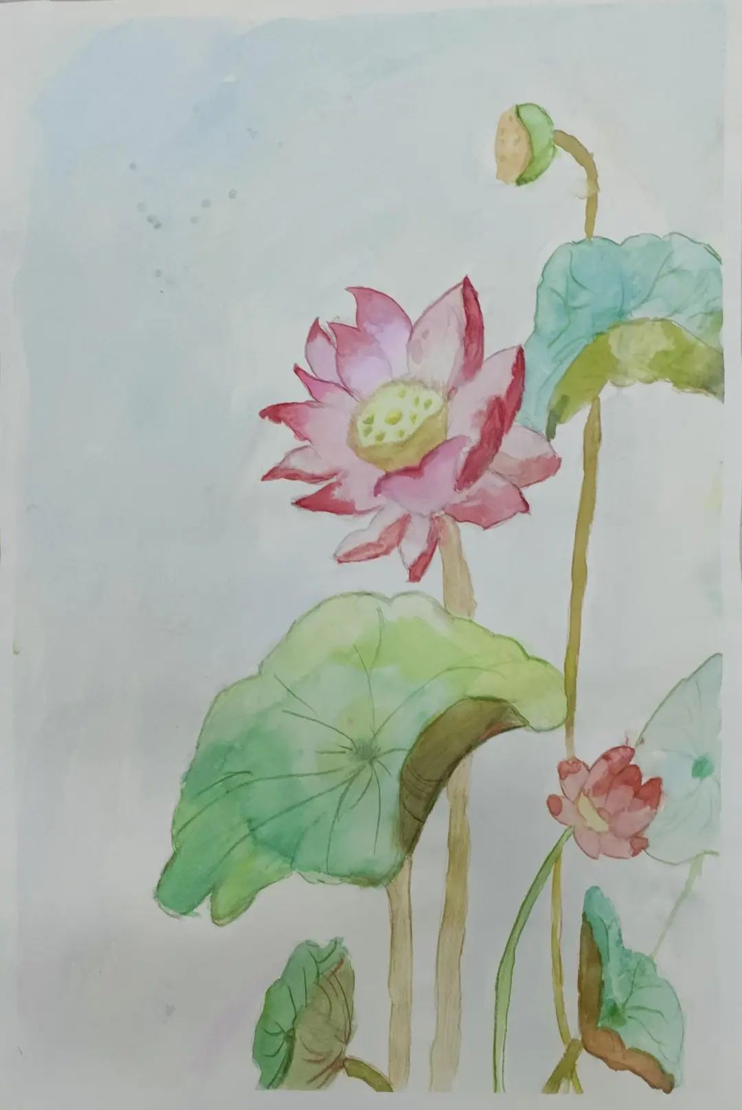 图片